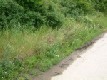 zum Vergr�ssern anklicken!